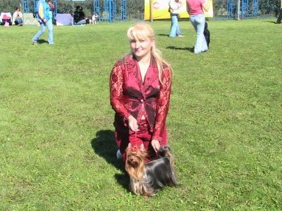 Dog Photo