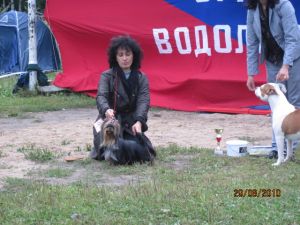 Dog Photo