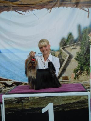 Dog Photo