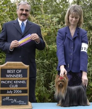 Dog Photo