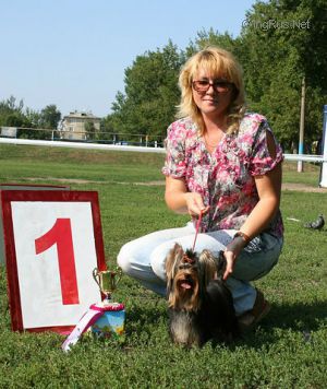 Dog Photo