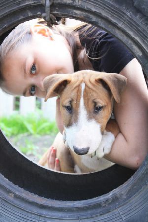Dog Photo