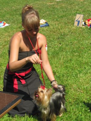 Dog Photo