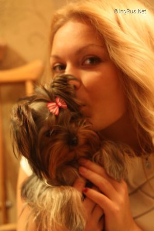 Dog Photo