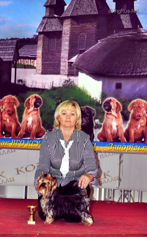 Dog Photo