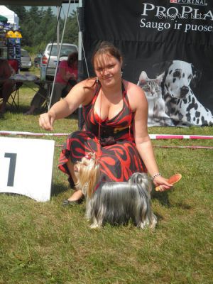 Dog Photo