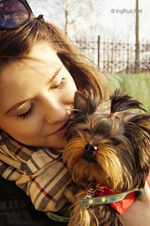 Dog Photo
