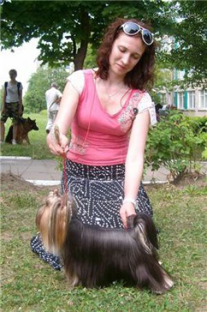 Dog Photo