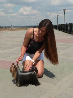 Dog Photo