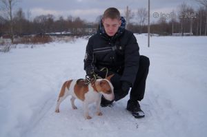 Dog Photo