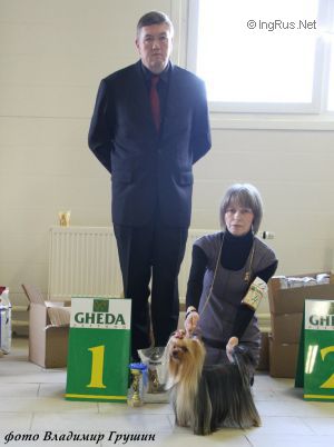 Dog Photo