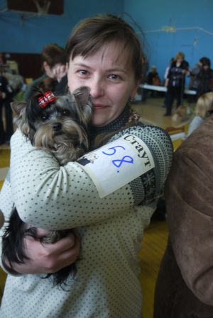 Dog Photo