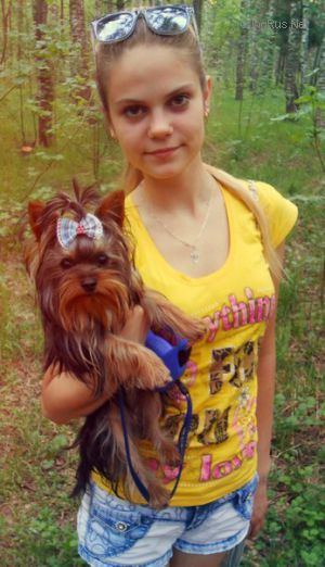 Dog Photo