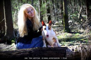 Dog Photo