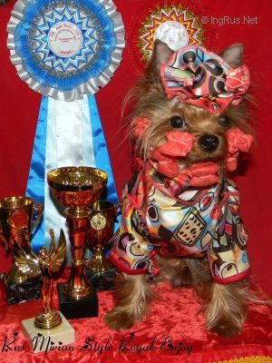 Dog Photo