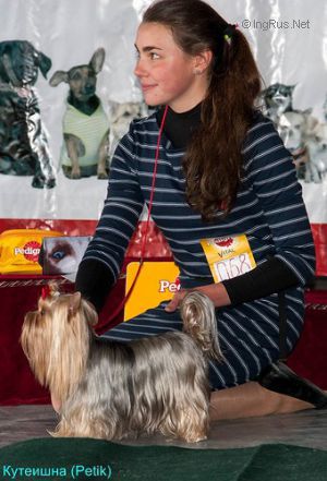 Dog Photo
