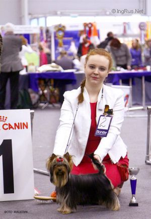 Dog Photo