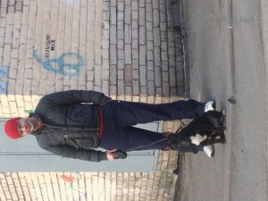 Dog Photo
