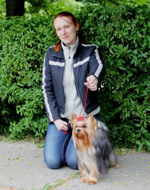 Dog Photo
