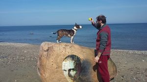 Dog Photo