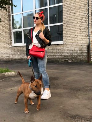 Dog Photo
