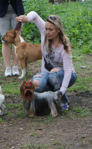 Dog Photo