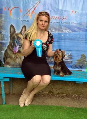 Dog Photo