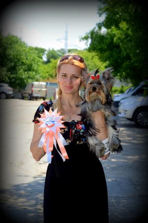 Dog Photo