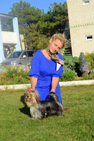 Dog Photo