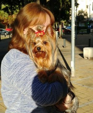 Dog Photo