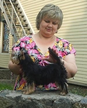 Dog Photo