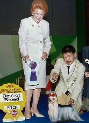 Dog Photo