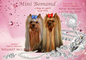 MINI BOMOND ROXOLANA