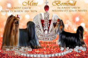 MINI BOMOND SUCCESS