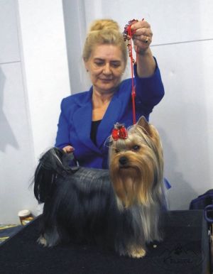 Dog Photo