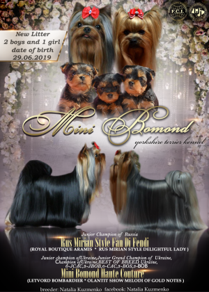 MINI BOMOND TREASURE ROYAL