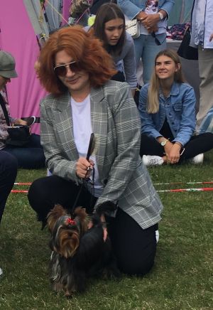 Dog Photo