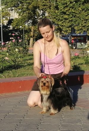 Dog Photo