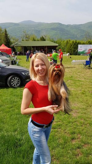 Dog Photo