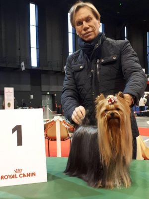 Dog Photo
