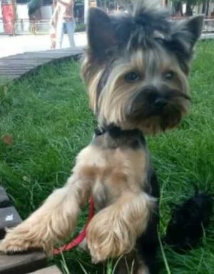 VALUABLE LEGACY OF VINNITSA KUPIDON