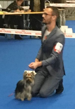 Dog Photo