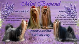 MINI BOMOND VERSACE