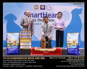 Dog Photo