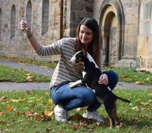 Dog Photo
