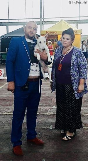 Dog Photo