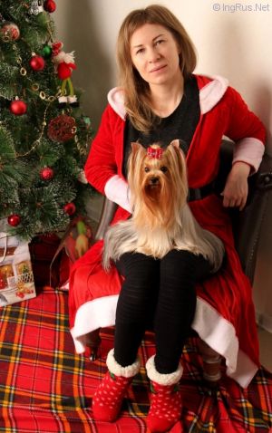 Dog Photo