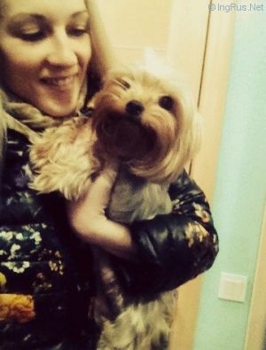 Dog Photo
