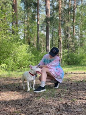 Dog Photo