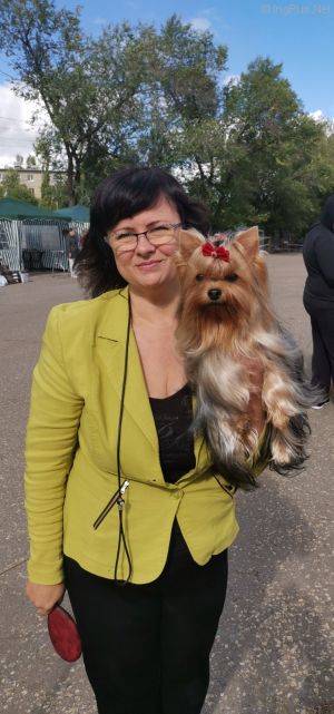 Dog Photo